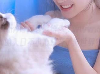 奇闻怪事给你，www.51.com的入口不小心打开了新世界？