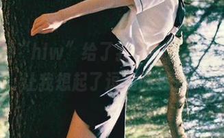 “hlw”给了我一个永久的惊喜，让我想起了逗趣的过去。