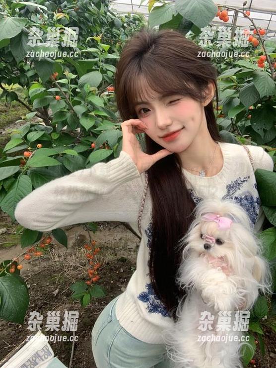 下载“吃瓜网红”app，视频轻松获取，天天都像在追剧？