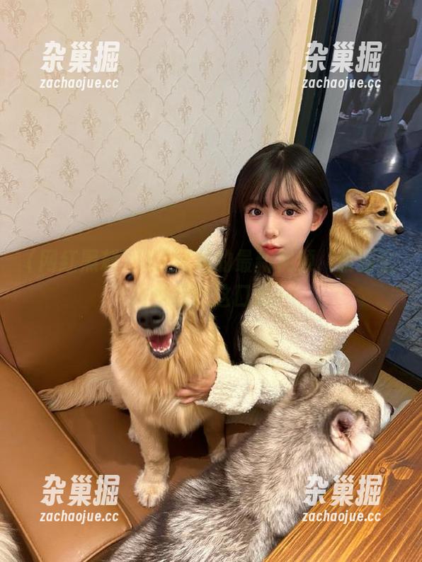 网红黑料的最新视频，偏偏全网都想吃这口瓜…