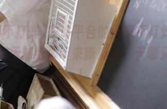 安卓平台的黑料不打烊，好像无时无刻给你带来新魔力，天哪又是啥！