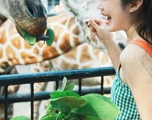 头顶的光圈，发布黑料网站入口：请环绕我千万次的聚光灯吧